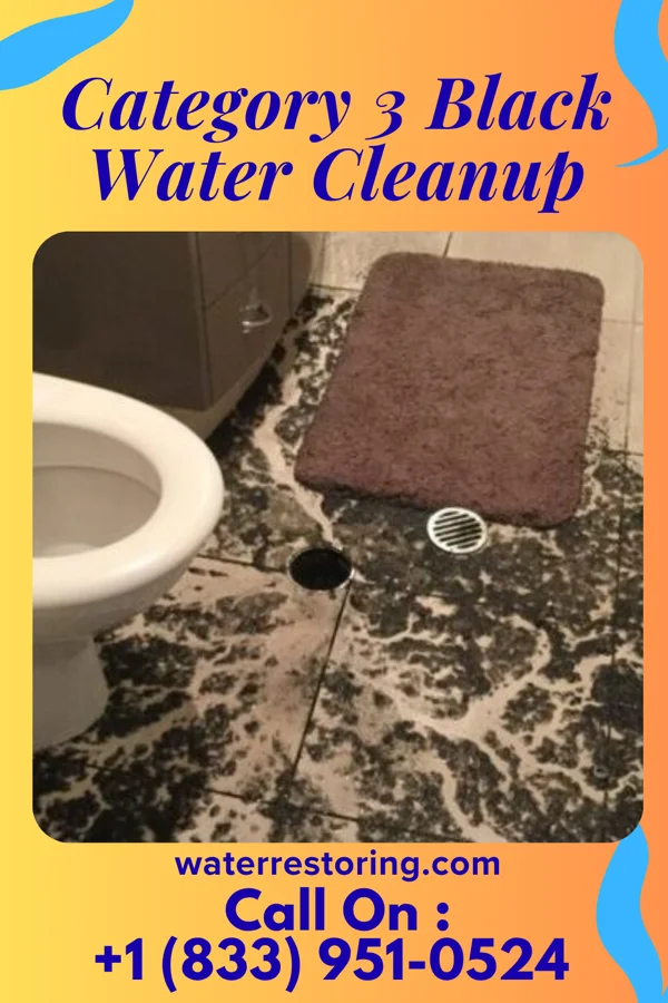 Category 3 Black Water Cleanup in Jackson, GA