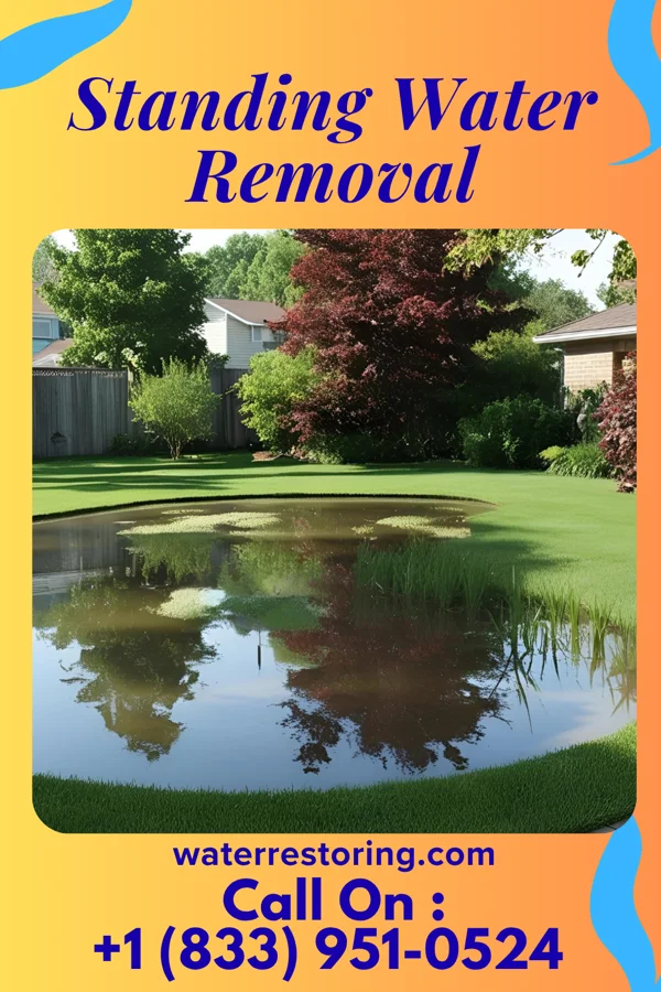 Standing Water Removal in Jackson, GA